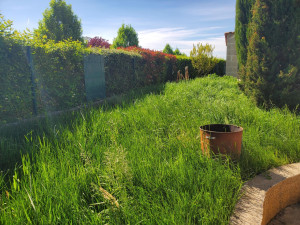 Photo de galerie - Photo AVANT : débroussaillage