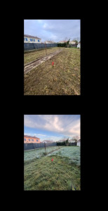 Photo de galerie - Remise en état d’une pelouse 