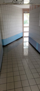 Photo de galerie - Entretien régulier de bâtiments (parties communes, escaliers, ascenseur, vitres, gestion des déchets...)