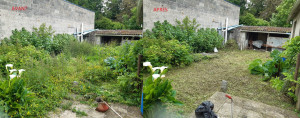 Photo de galerie - Remise en état de jardin