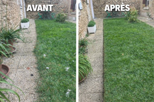 Photo de galerie - Remise en état d’une bordure