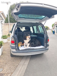 Photo de galerie - En route pour rentrer à la maison