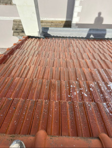 Photo de galerie - Nettoyage d’un toit avec le Dalep 2100