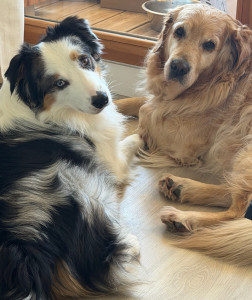 Photo de galerie - Aiko shossette 