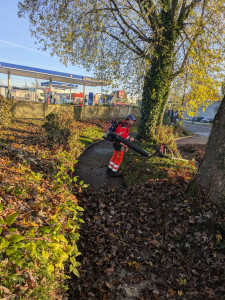 Photo de galerie - Soufflage de feuille 
