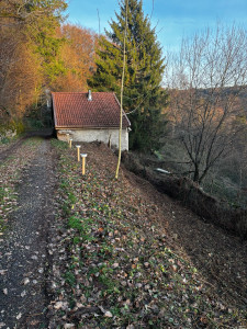 Photo de galerie - Défrichage terrain (après)