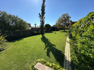 Photo de galerie - Tonte de pelouse