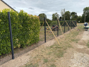 Photo de galerie - Grillage rigide 