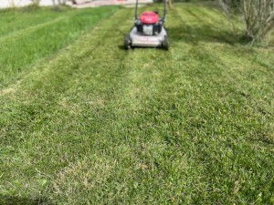 Photo de galerie - Tonte à Esvres jardin 800m2