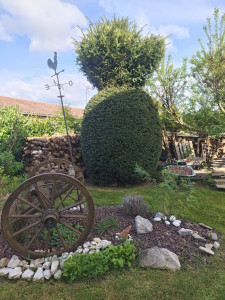 Photo de galerie - Aménagement Paysager
