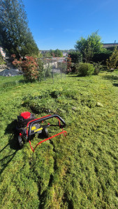 Photo de galerie - Tonte et Débroussaillage fourmies