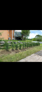 Photo de galerie - Planter des haies 