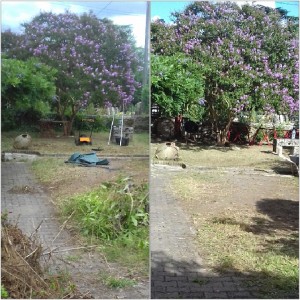 Photo de galerie - Jardinier