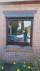 Photo de galerie - Nettoyeur de vitres