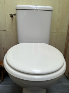Photo de galerie - Réparation dévacuation WC et changement robinet 