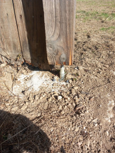 Photo de galerie - Reprise de pied de poteau enterré par mise en place de fondation béton + pied de poteau acier 