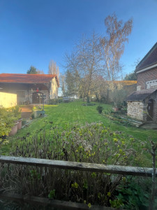 Photo de galerie - Tonte