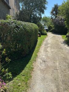 Photo de galerie - Taille de haies et d'arbustes