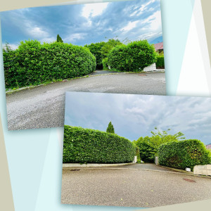 Photo de galerie - Jardinier