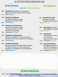 Photo de galerie - Voici des exemples, des missions de travail associé en mon environnement.