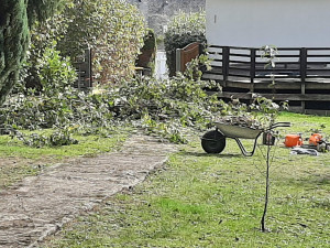 Photo de galerie - Travail soigné 