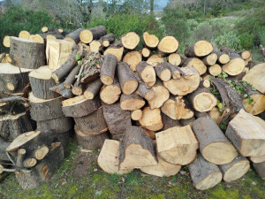 Photo de galerie - Paysagiste - Aménagement du jardin