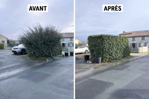 Photo de galerie - Jardinier