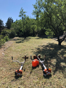 Photo de galerie - Tonte de pelouse - Débroussaillage