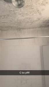 Photo de galerie - Salle de bain