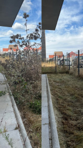 Photo de galerie - Débroussaillage 