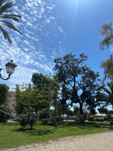 Photo de galerie - Promenade au parc avec des animaux 