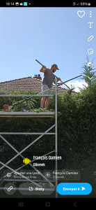 Photo de galerie - Taille de haie 
