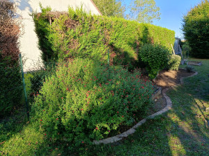 Photo de galerie - Premier photo avant réalisation 