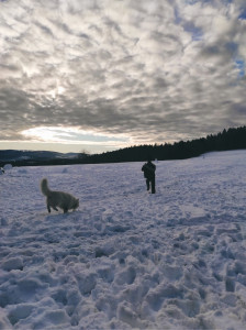 Photo de galerie - Balade dans les Vosges ?