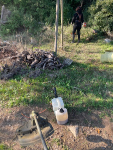 Photo de galerie - Tonte de pelouse - Débroussaillage
