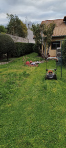 Photo de galerie - Tonte de pelouse - Débroussaillage