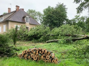Photo de galerie - Débitage du chêne 