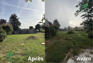 Photo de galerie - Tonte de pelouse - Débroussaillage