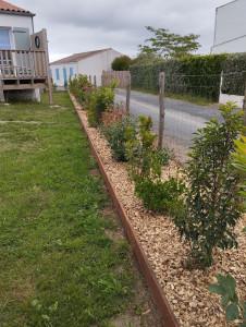 Photo de galerie - Plantation d'une haie variée avec bordure, bâche de paillage tissée, goutte-à-goutte et plaquettes de bois en paillage 
