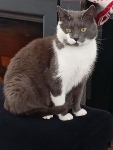 Photo de galerie - Moon.. ?