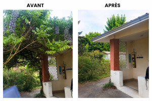 Photo de galerie - Nous enlever toutes les branches qui commençaient à aller sur la toiture et accroché à la gouttière. Bonne journée.