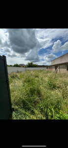 Photo de galerie - Tonte de pelouse - Débroussaillage