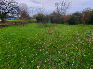 Photo de galerie - Photo AVANT : création d'un potager MANDALA