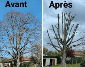 Photo de galerie - Travail très professionnel