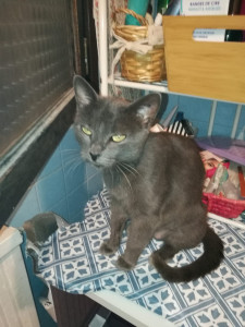 Photo de galerie - Lady Carol