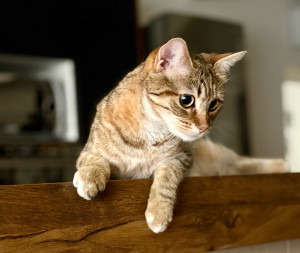 Photo de galerie - Je vous présente Jad gardé dans son environnement pendant 1 mois !! 