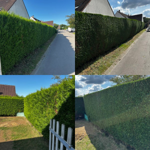 Photo de galerie - Taille haie 