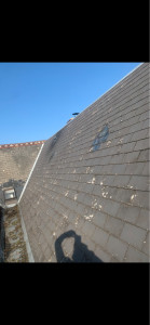 Photo de galerie - Grattage mousse 