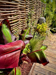 Photo de galerie - Création d’une clôture, jardinière sur terrasse et composition végétale