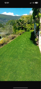 Photo de galerie - Paysagiste - Aménagement du jardin